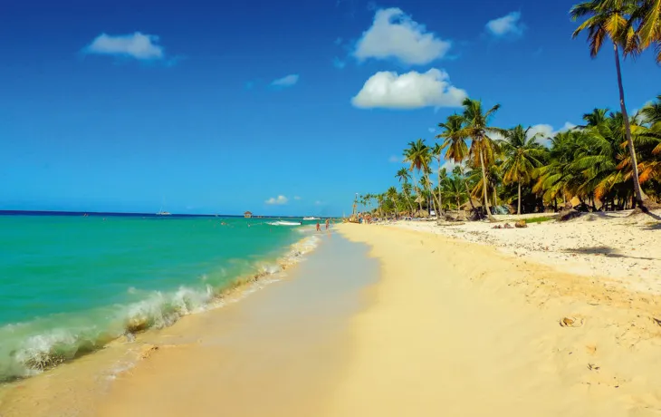 exotischer Sandstrand mit hohen Palmen
