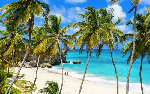 Bottom Bay Strand - ein paradiesischer Strand auf der Karibikinsel Barbados