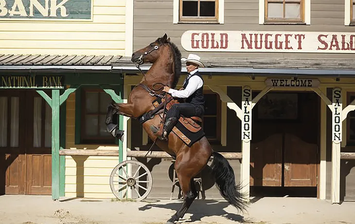 Pullman City, Trick-Riding