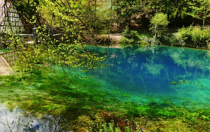 Blaubeuren Blautopf