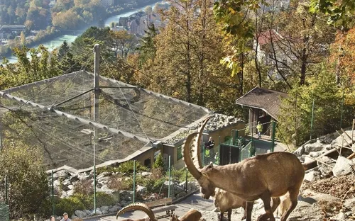 Alpenzoo