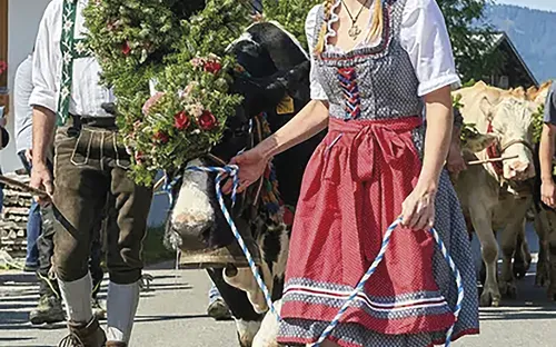 Tannheim, Almabtrieb