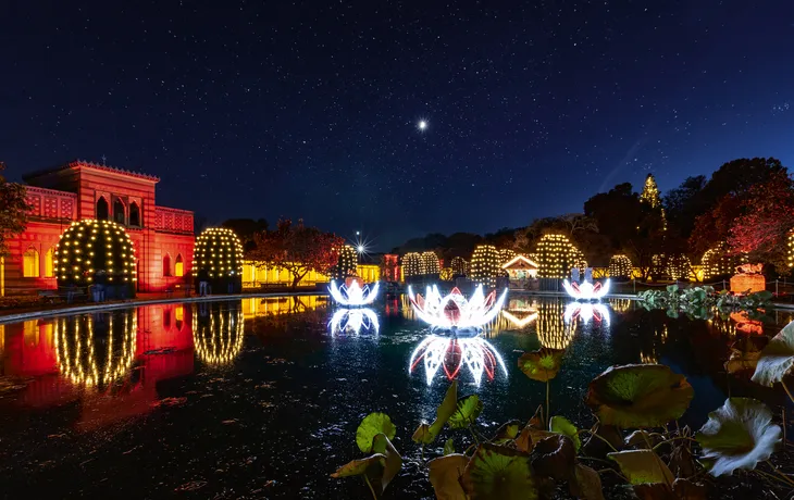 Christmas Garden Stuttgart in der Wilhelma, Deutschland