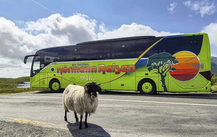 Busreise durch Irland mit Hörmann Reisen