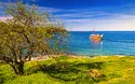 Porec - Rad - 6 Tage