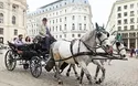 Kaiserstadt Wien - 3 Tage - 2027