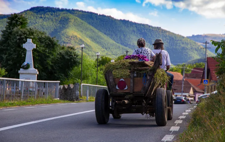 Pferdewagen in Rasinari, Siebenbürgen