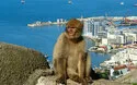 Südspanien - Barcelona - 12 Tage - 2027