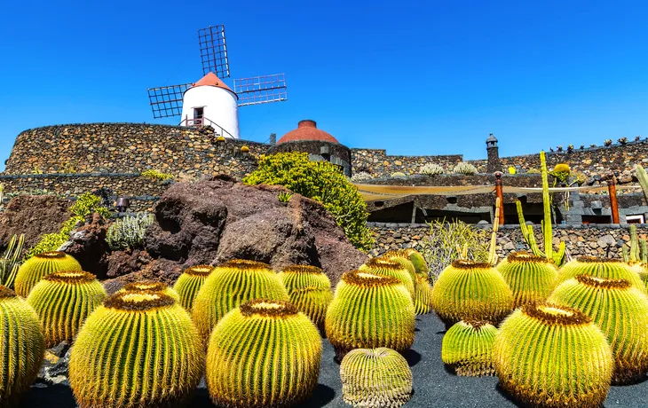 Kaktusgarten (Jardin de Cactus) im Dorf Guatiza auf Lanzarote
