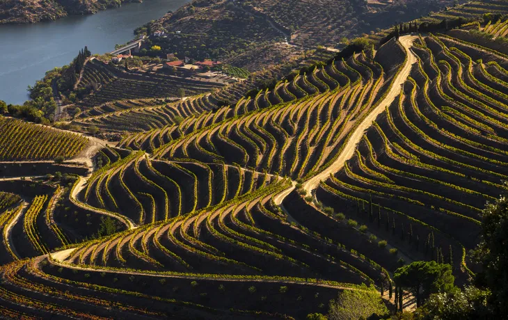 Kulturerbe der UNESCO: die wunderschönen endlosen Reihen der Weinberge des Douro-Tals