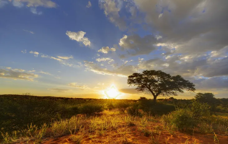 Kalahari-Region