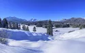 Mittenwald - Kutschfahrt - 1 Tag