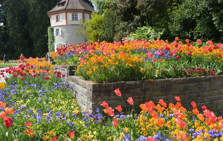 bunte Blumenbeete im Schlosspark auf der Insel Mainau
