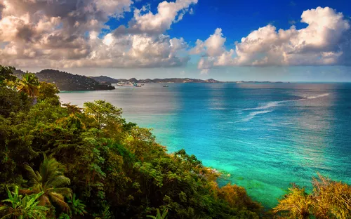Blick auf tropische Küste mit türkisfarbenem Meer und blauem Himmel.