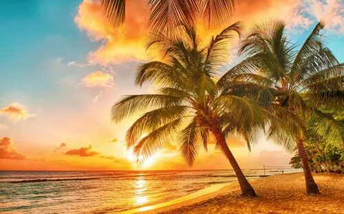 Palmenstrand bei Sonnenuntergang, mit orangenem und rosa Himmel, ruhigem Meer und sandigem Ufer.