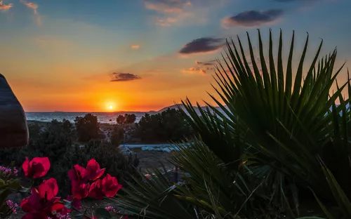 Sonnenuntergang am Strand von Kos mit Blick auf das Meer und Palmen im Vordergrund.