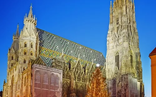 Stephansdom in Wien bei Nacht mit erleuchtetem Weihnachtsbaum im Vordergrund.