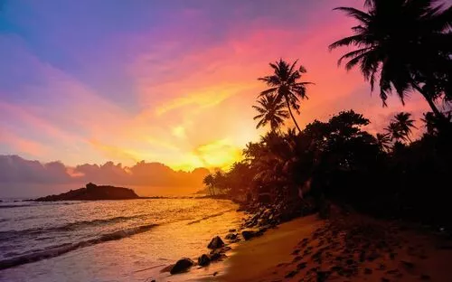 Ein Strand bei Sonnenuntergang mit Palmen im Vordergrund und einem farbenfrohen Himmel.