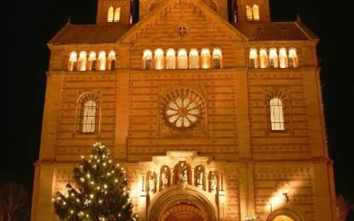 Weihnachtsbaum vor dem beleuchteten Kaiserdom in Speyer bei Nacht.