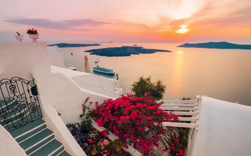 Sicht auf Santorini mit Meer, Sonnenuntergang und Blumen im Vordergrund.