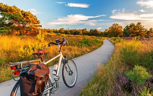 Fahrrad auf einem Weg im grünen Park bei sonnigem Wetter.