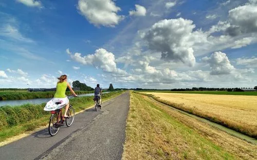 Zwei Personen fahren mit Fahrrädern auf einem ländlichen Weg, umgeben von Feldern.