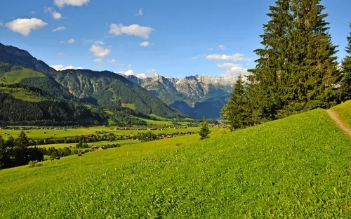 Grüne Alpenlandschaft mit Bergen und Bäumen unter blauem Himmel.