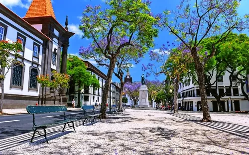Stadtplatz mit Bäumen, blühenden Jacarandas und einer Statue unter blauem Himmel.