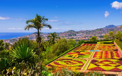 Botanischer Garten mit Blick auf eine Stadt und das Meer im Hintergrund.