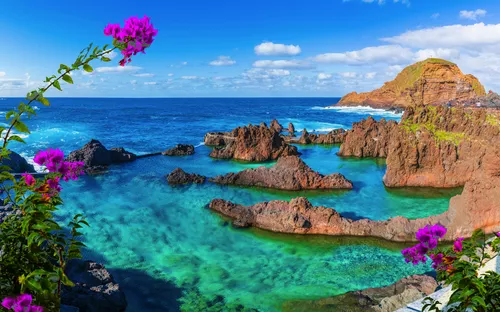 Klippen am Meer mit türkisem Wasser und violetten Blumen im Vordergrund