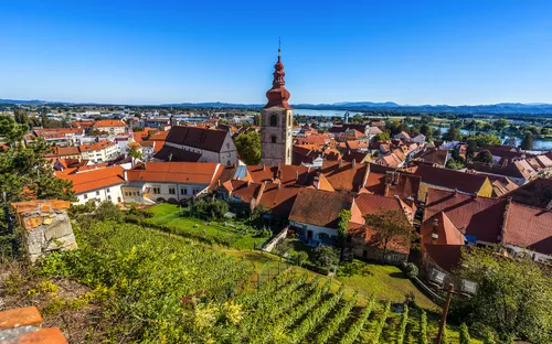 Stadtpanorama mit Kirche und roten Dächern im Vordergrund, Felder im Hintergrund.