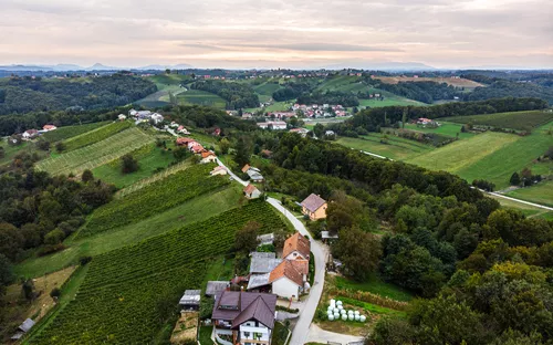Luftaufnahme einer hügeligen Landschaft mit Weinbergen und Häusern.