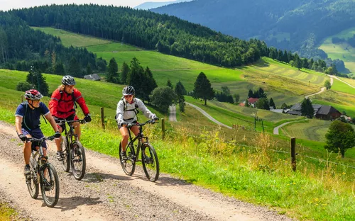 Drei Radfahrer fahren auf einem Weg durch eine hügelige Landschaft im Sommer.