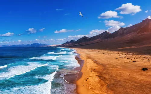 Strand mit Wellen und Bergen, blauer Himmel, fliegende Möwe.