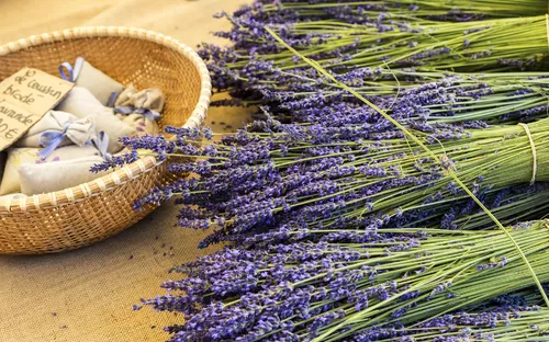 Lavendelsträuße und Duftsäckchen in einem Korb auf einem Marktstand.
