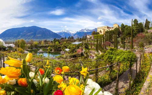 Blick auf eine blühende Gartenlandschaft mit Bergen im Hintergrund.