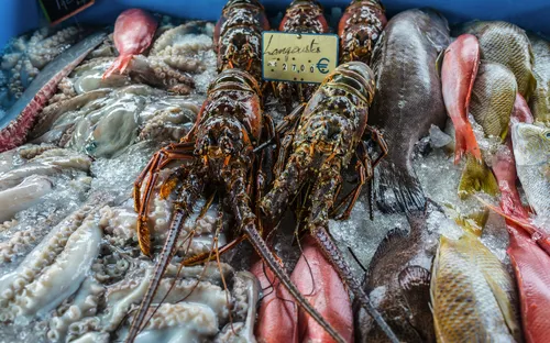 Hummer und verschiedene Fische auf Eis auf einem Markt in Pointe-à-Pitre, Guadeloupe