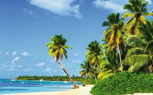 Strand mit Palmen und blauem Meer unter klarem Himmel.