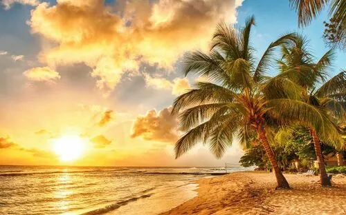 Strand bei Sonnenuntergang mit Palmen und Wellen im Meer.
