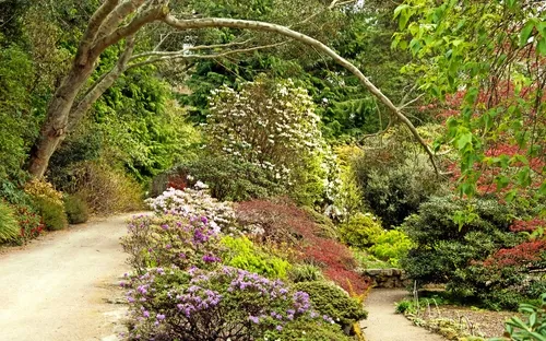 Ein gepflegter Gartenweg mit verschiedenen bunten Blumen und Büschen, umgeben von hohen Bäumen.