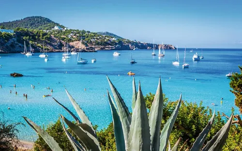 Blick auf eine Bucht mit Segelbooten und einer Agave im Vordergrund.