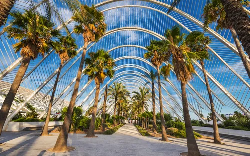 Moderne Pergola mit Palmen darunter und blauem Himmel im Hintergrund.