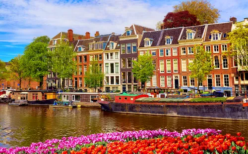Kanalanlage in Amsterdam mit bunten Blumen und traditionellen Häusern im Hintergrund.