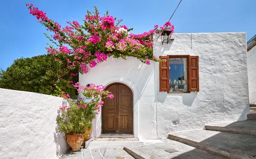 Weißes Haus mit Holztür und blühendem Bougainvillea im Sonnenschein.